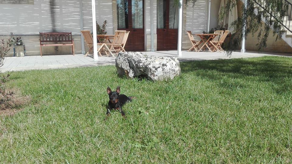 Masseria Sucea Мартано Екстер'єр фото
