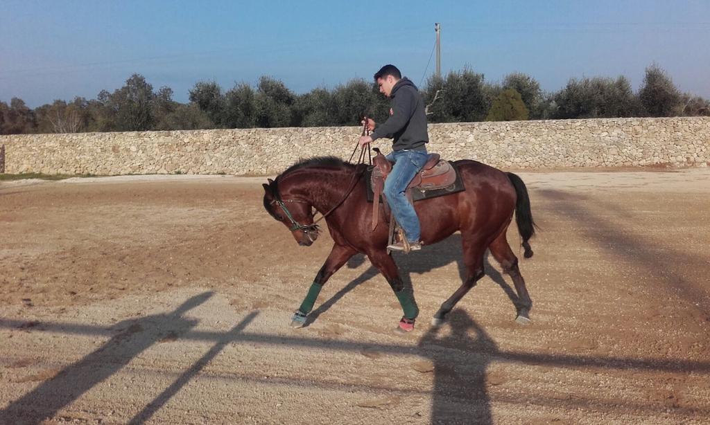 Masseria Sucea Мартано Екстер'єр фото